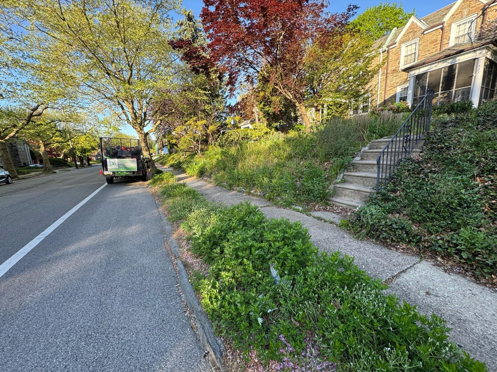 Yard cleanup work by Green Force Property Services